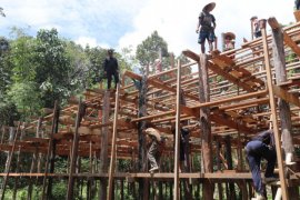 Dayak Iban Sungai Utik perbatasan RI-Malaysia bangun rumah budaya