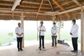 Food estate projects must not contribute to deforestation, focus on unproductive and neglected land