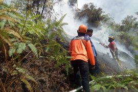 Hutan di Harau yang terbakar dan telah dipadamkan kembal menyala
