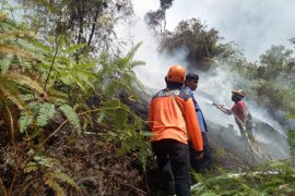 Kebakaran hutan di Eropa dipicu gelombang panas