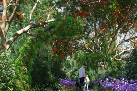 Tren hunian "Hijau" diminati selama pandemi COVID-19