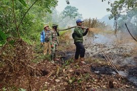 Di Riau, luas lahan yang terbakar capai 248 hektare