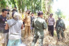 Polisi Mukomuko cegah konflik manusia dan harimau