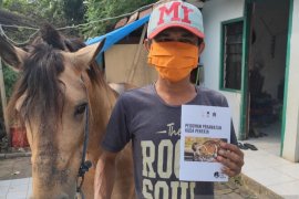 Pengusaha delman Jakarta Timur peroleh insentif