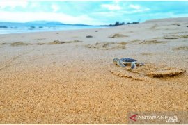 Jewita Kalbar sambut usulan Temajuk prioritas strategis nasional