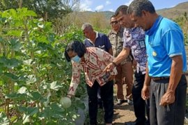 Warga binaan Lapas Palu ikuti asimilasi untuk mengelola lahan pertanian