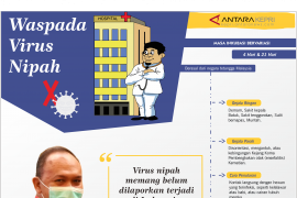 Waspada virus nipah