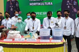 Polisi ungkap kasus benih hortikultura tanpa sertifikasi