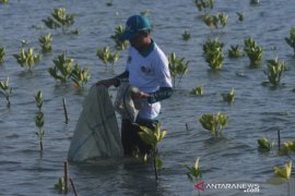 Aksi bersih sampah di Pantai Palu Page 2 Small