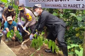 Forkopimda Banyuwangi canangkan penanaman seribu pohon