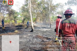 Karhutla terjadi lagi di Siak, masih di Sungai Apit