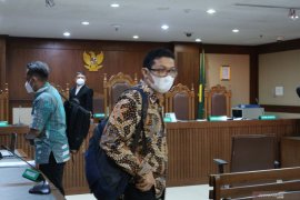 Mantan Dirjen: Ekspor benih lobster sumbang pemasukan sedikit untuk negara