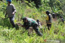 Revolusi hijau di Pegunungan Meratus