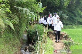 Areal pertanian di Cilawu Garut tidak produktif akibat irigasi rusak