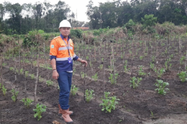 CITA dampingi Poktan Kabun Basar tanam jeruk siam