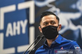 Partai Demokrat meminta perlindungan hukum pada pemerintah