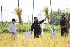 Ini dia sejumlah informasi penting berita ekonomi sepanjang hari Sabtu kemarin