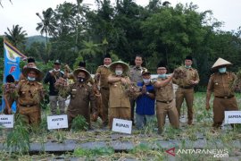 Bupati: Pengembangan bawang merah di Rejang Lebong menjanjikan