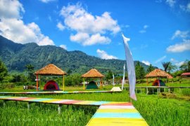 Wisata Tidur Sawah Pamah Simelir Telagah Langkat banyak diminati