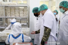 Dorong ekspor, Syahrul Yasin Limpo: Sarang burung walet kita diminati dunia