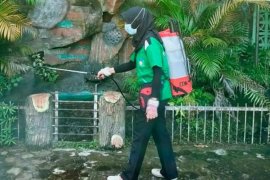 Perkumpulan Hijau Daun konsisten aksi lingkungan