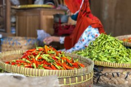 Harga cabai di pasar tradisional Yogyakarta tembus Rp120.000 per kilogram