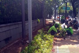 150,000 plants to be planted along roadsides, graveyard in C Jakarta