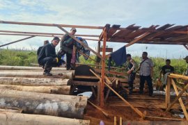 Patroli Satgas Karhutla Jambi  temukan aktifitas pembalakan liar