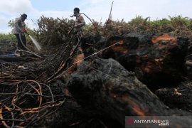 BMKG ingatkan kemunculan titik panas di Aceh