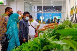 Petani sayur Pekanbaru mulai tersenyum dengan "chiller room"