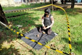 Guru honorer di Lombok Timur temukan granat jenis nanas di halaman rumahnya