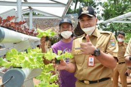 Pemkab Tangerang bentuk "Kampung Tematik" untuk tingkatkan ketahanan pangan
