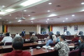 Alami kerugian, petani Riau biarkan ubi membusuk di ladang