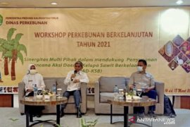 Kadisbun: Produksi minyak sawit Kaltim 3.8 juta ton per tahun