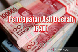 Realisasi PAD Pesisir Selatan sudah tercapai 23,16 %