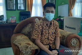Tercatat 600 ekor babi di Bangka mati akibat virus ASF