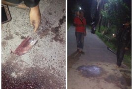 Mayat ditemukan di Kecamatan Binjai Utara, diduga korban penganiayaan