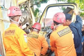 Sopir truk terjepit usai tabrak pohon di Aceh Barat