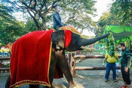 Wali Kota Eri ajak warga di Kota Surabaya jadi orang tua asuh satwa
