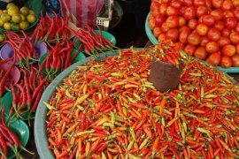 Harga cabai merah di pasar tradisonal Ambon melonjak
