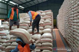 Cadangan beras Bulog Cirebon cukup 13 bulan ke depan