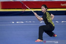Menpora dukung wushu dipertandingkan di Olimpiade