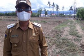 Wabup Sigi: Pencanangan desa palawija sebagai simbol kebangkitan petani