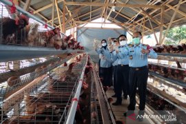 Napi dibekali ilmu beternak ayam dan lele