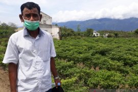 Petani Sigi minta Pemkab bangun sumur dangkal untuk kelancaran bertani