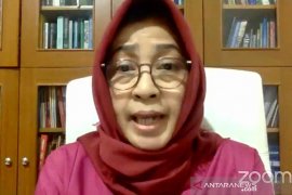 Ahli politik UI pertanyakan motif pihak tertentu sebar wacana amandemen UUD 1945