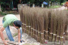 Pelepah dan lidi sawit potensi jadi bisnis baru