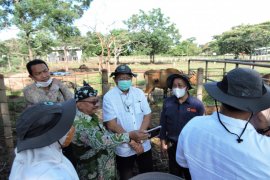 Kementerian LHK segera kaji pengembangan wisata di Taman Nasional Baluran Situbondo