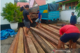 Balai Gakkum KLHK tahan pemilik 190 batang kayu ilegal di Baubau