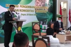 Mentan sebut permintaan ekspor komoditas porang meningkat